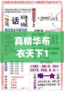 真精華布衣天下123456今天開獎號,實時更新解釋介紹_魂銀版YHE5.26