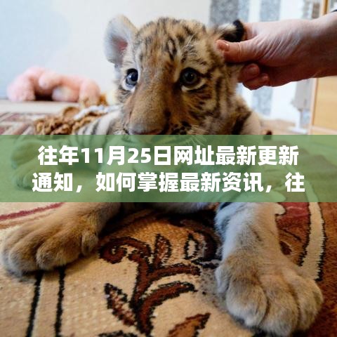 往年11月25日網(wǎng)址更新詳解，掌握最新資訊的方法與途徑解析