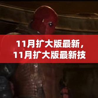 最新11月擴(kuò)大版技能學(xué)習(xí)指南，一步步教你完成任務(wù)