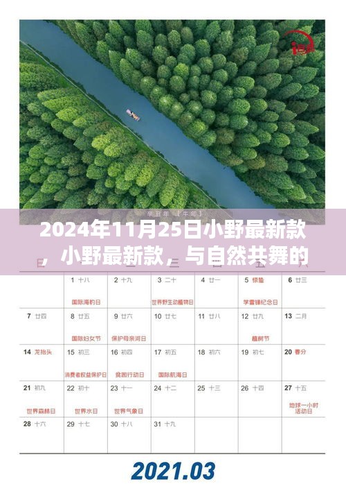 小野最新款，與自然共舞的日子啟程，尋找內(nèi)心的寧靜與歡笑時(shí)光（2024年11月25日）