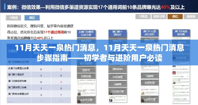 11月天天一泉熱門消息全解析，初學(xué)者與進階用戶步驟指南