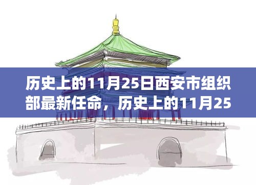 西安市組織部11月25日最新任命詳解，從零開始的指南