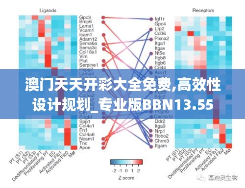 澳門天天開彩大全免費,高效性設計規(guī)劃_專業(yè)版BBN13.55