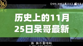 呆哥雙飛記，溫馨有趣的日常故事新篇章。