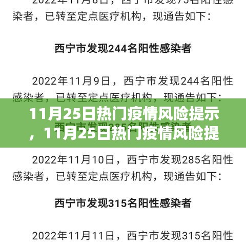 11月25日熱門疫情風(fēng)險(xiǎn)提示及全面評(píng)測報(bào)告解析