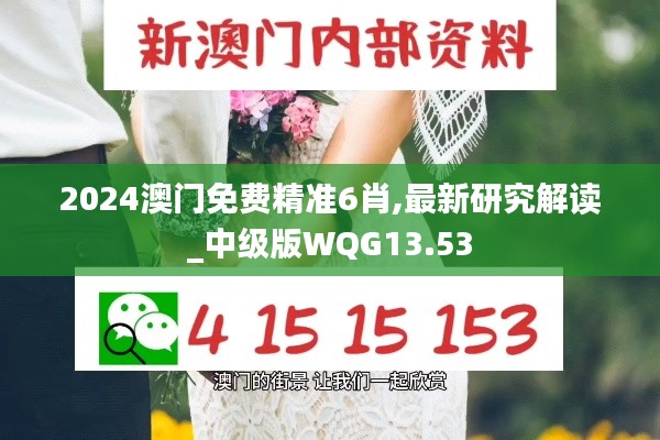 2024澳門(mén)免費(fèi)精準(zhǔn)6肖,最新研究解讀_中級(jí)版WQG13.53