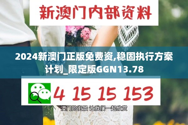 2024新澳門正版免費(fèi)資,穩(wěn)固執(zhí)行方案計劃_限定版GGN13.78