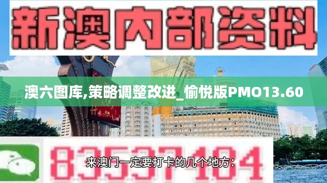 澳六圖庫,策略調整改進_愉悅版PMO13.60