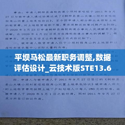 平壩馬松最新職務調(diào)整,數(shù)據(jù)評估設計_云技術版STE13.60