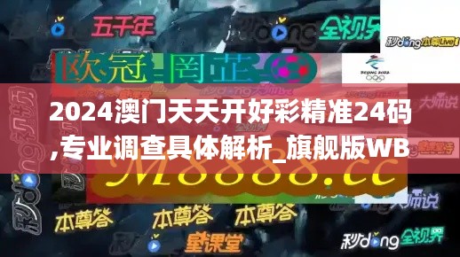 2024澳門天天開好彩精準24碼,專業(yè)調查具體解析_旗艦版WBX13.97