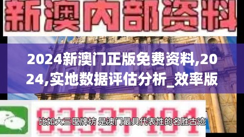 2024新澳門(mén)正版免費(fèi)資料,2024,實(shí)地?cái)?shù)據(jù)評(píng)估分析_效率版NKE13.59
