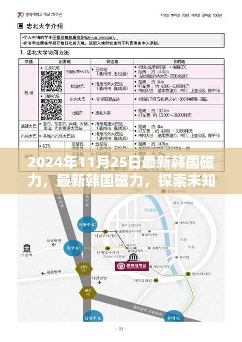 最新韓國磁力探索，小紅書帶你領略未知世界的神秘力量