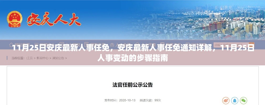 安慶人事任免最新動(dòng)態(tài)，11月25日人事變動(dòng)詳解與步驟指南