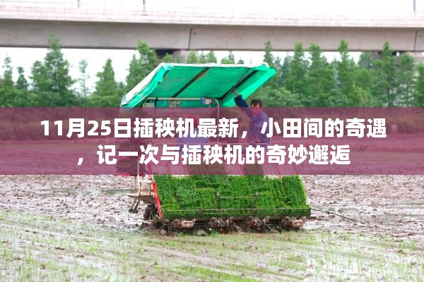 新聞動態(tài) 第643頁