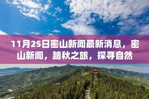 11月25日密山新聞熱點，踏秋探尋自然秘境，重拾心靈寧靜