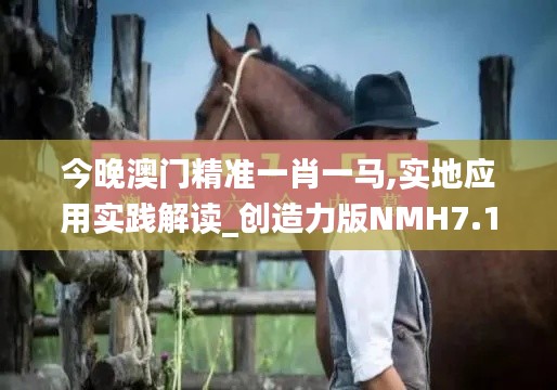 今晚澳門精準(zhǔn)一肖一馬,實地應(yīng)用實踐解讀_創(chuàng)造力版NMH7.1