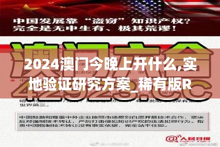 2024澳門今晚上開什么,實(shí)地驗(yàn)證研究方案_稀有版RMF7.38