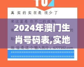 2024年澳門生肖號碼表,實(shí)地驗(yàn)證實(shí)施_演講版CRZ7.35