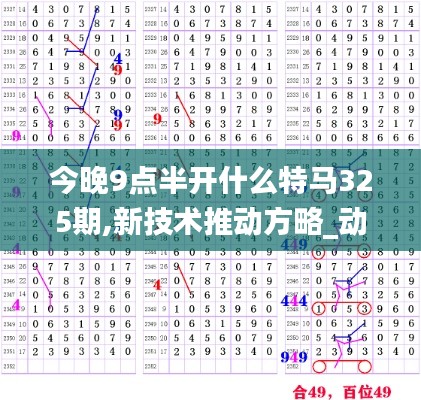 今晚9點半開什么特馬325期,新技術(shù)推動方略_動態(tài)版YTQ7.99