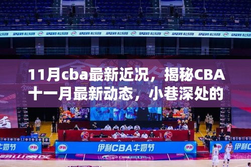 揭秘CBA十一月最新動態(tài)，籃球風尚與獨特小店探秘