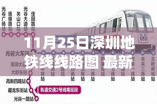 最新深圳地鐵線路圖解讀，11月25日深圳地鐵網(wǎng)絡(luò)新變化全解析