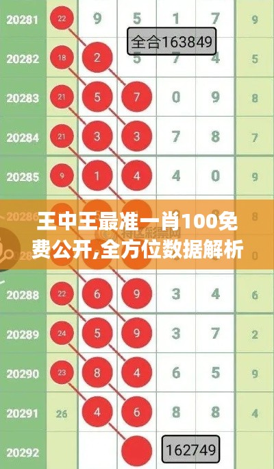 王中王最準(zhǔn)一肖100免費公開,全方位數(shù)據(jù)解析表述_線上版WDK13.51