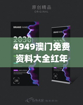 4949澳門免費(fèi)資料大全紅年,決策案例資料集_晴朗版YFN13.35