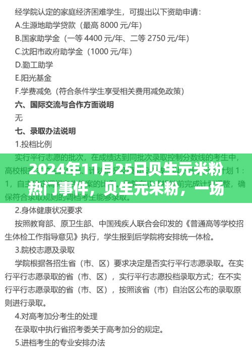 貝生元米粉熱門事件揭秘，行業(yè)矚目的一刻（2024年11月25日）