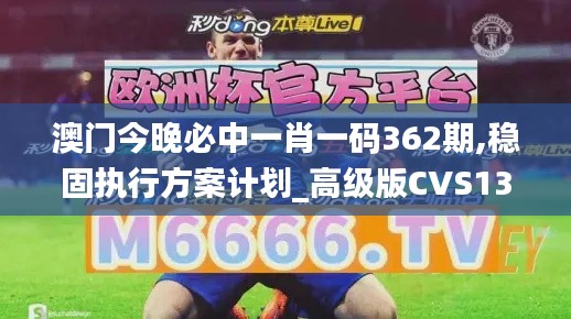 澳門今晚必中一肖一碼362期,穩(wěn)固執(zhí)行方案計(jì)劃_高級版CVS13.74