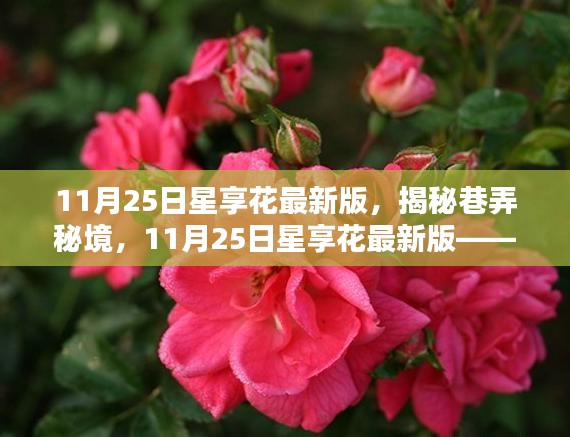 揭秘巷弄秘境，星享花最新版特色小店探秘之旅