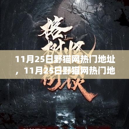 揭秘野貓網(wǎng)熱門地址背后的故事，背景、事件、影響與時(shí)代地位解析