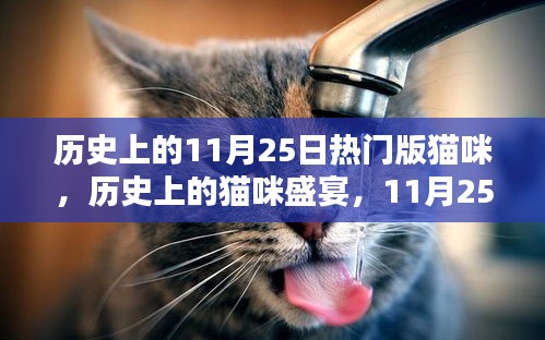 歷史上的貓咪盛宴，11月25日的璀璨篇章與貓咪盛宴回顧