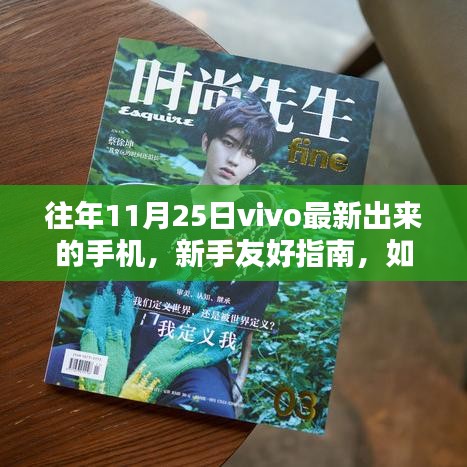 新手友好指南如何獲取并體驗(yàn)vivo最新手機(jī)，以往年11月25日機(jī)型為例