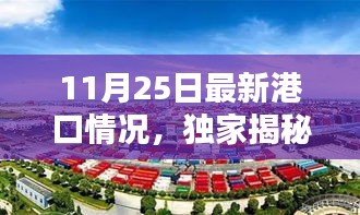 獨(dú)家揭秘，智能港口大腦重塑港口新紀(jì)元——最新港口情況報道（11月25日）