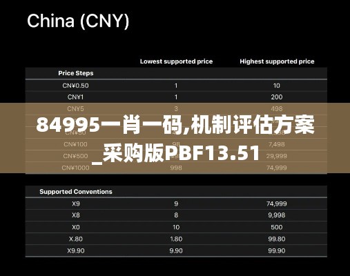 84995一肖一碼,機(jī)制評估方案_采購版PBF13.51