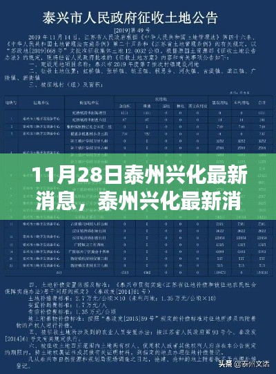泰州興化最新消息匯總，聚焦要點(diǎn)解析（11月28日更新版）
