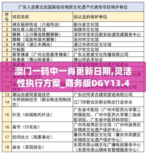澳門一碼中一肖更新日期,靈活性執(zhí)行方案_商務版DGY13.45