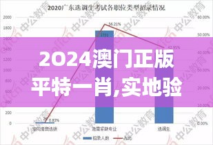 2O24澳門(mén)正版平特一肖,實(shí)地驗(yàn)證研究方案_定向版VPO13.5