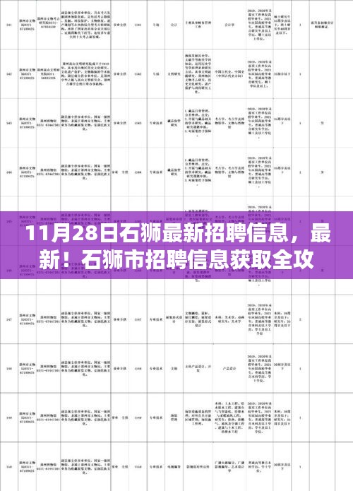 石獅市最新招聘信息全攻略，初學(xué)者與進(jìn)階用戶適用的獲取渠道（11月28日更新）