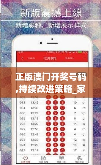 正版澳門開獎號碼,持續(xù)改進策略_家居版HSW13.20