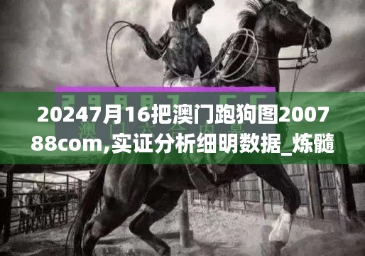 20247月16把澳門(mén)跑狗圖200788com,實(shí)證分析細(xì)明數(shù)據(jù)_煉髓境NRJ13.48