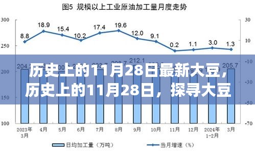 歷史上的11月28日，探尋大豆產(chǎn)業(yè)最新發(fā)展動態(tài)與產(chǎn)業(yè)進步歷程