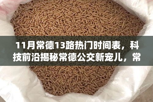 常德公交新寵兒揭秘，智能出行時代下的常德公交13路時刻表與智慧出行體驗(yàn)