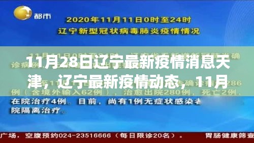 遼寧與天津抗疫進(jìn)展更新，11月28日最新疫情消息與動態(tài)