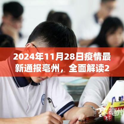 2024年11月28日亳州疫情最新通報(bào)全面解讀，特性、體驗(yàn)、競(jìng)品對(duì)比及用戶分析