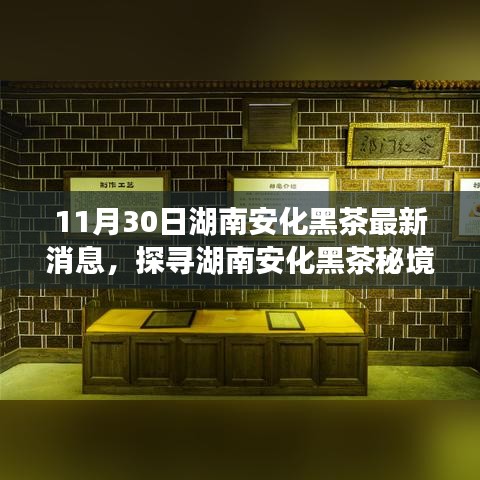 明眸皓齒 第5頁(yè)