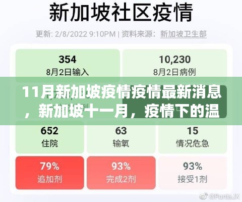 新加坡十一月疫情下的溫馨日常與友情力量，最新疫情消息