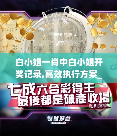 白小姐一肖中白小姐開(kāi)獎(jiǎng)記錄,高效執(zhí)行方案_社區(qū)版IIR90.520