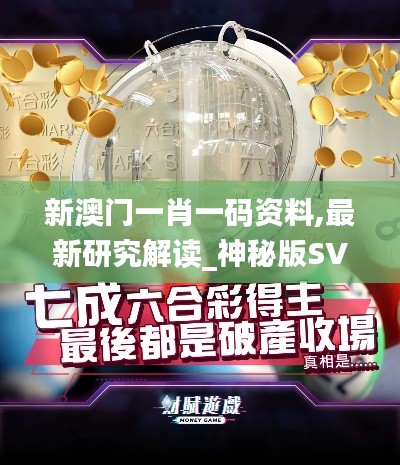 新澳門(mén)一肖一碼資料,最新研究解讀_神秘版SVZ20.146