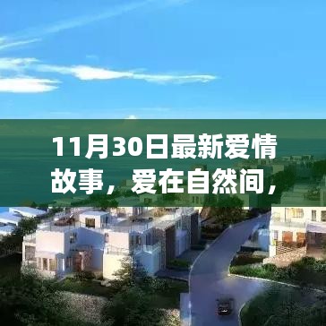 11月30日愛情故事，愛在自然間的內(nèi)心平靜之旅